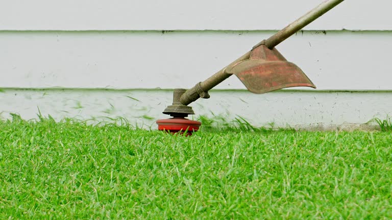 Best Aeration Services  in Audubon Park, NJ